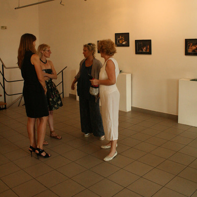 THE OPENING <em>Photo: Jaka Mihelič</em>